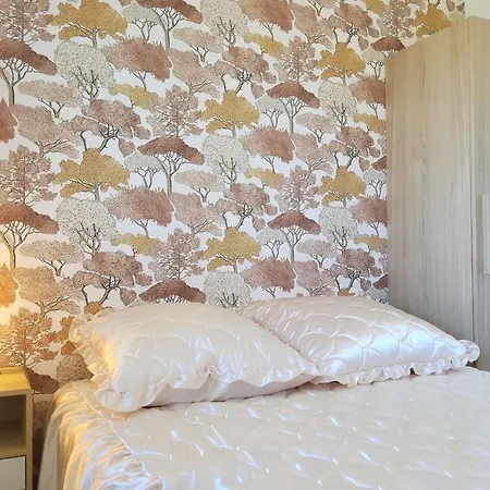 Apartment Bright Of 27 M2 With Balcony